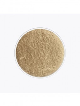 Recharge Aquacolor Mettalic - Kryolan KryolanBeauté