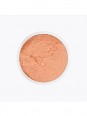 Dry Powder 50g TPFF2 - Kryolan KryolanBeauté