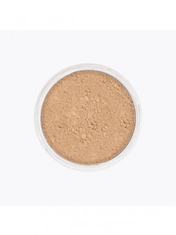 Anti shine powder 10g - Kryolan KryolanBeauté