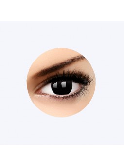 Lentilles - Dark Side PhantaseeLentilles