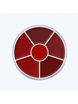Palette 6 rouge à lèvres - Kryolan KryolanLèvres